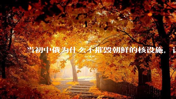 当初中俄为什么不摧毁朝鲜的核设施，让朝鲜拥有了自己的核武器？