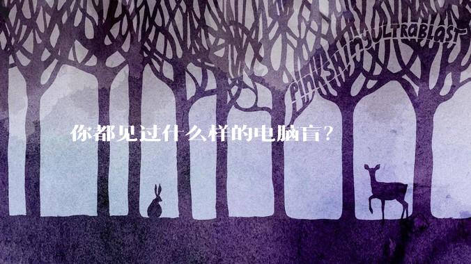 你都见过什么样的电脑盲？