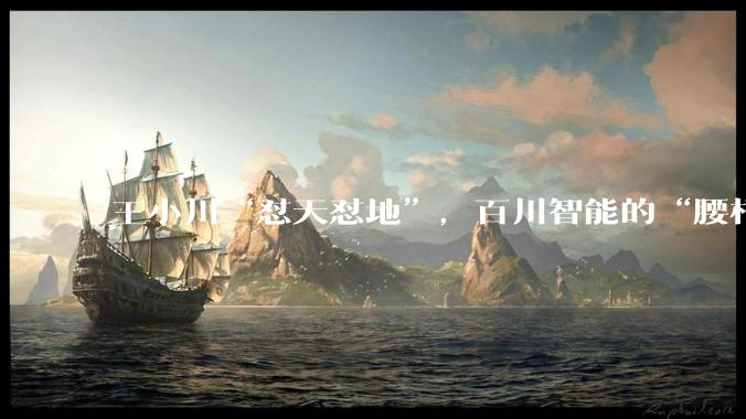王小川“怼天怼地”，百川智能的“腰杆”够硬吗？_医疗_医生_模型