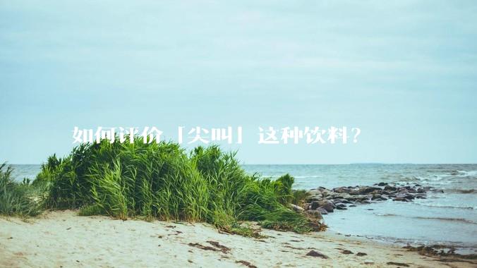 如何评价「尖叫」这种饮料？