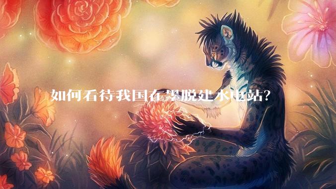 如何看待我国在墨脱建水电站？